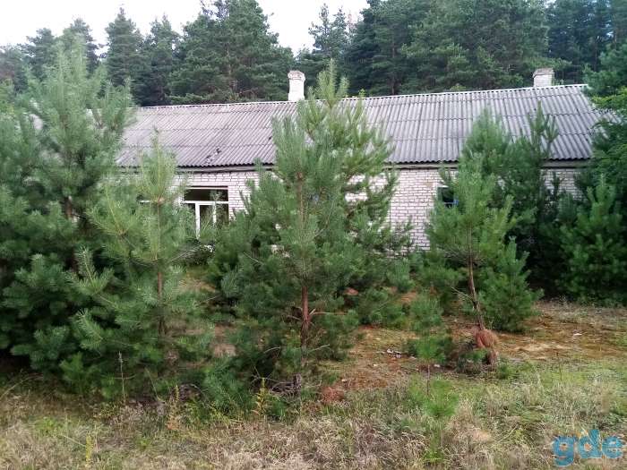 Организация Сдает помещения, отдельно стоящие здания и земельный участок в г. Ивенец Воложинского района, фотография 7
