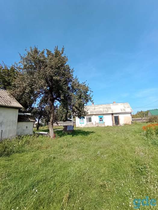 Дом, Брестская область, район, д. Камень, фотография 9