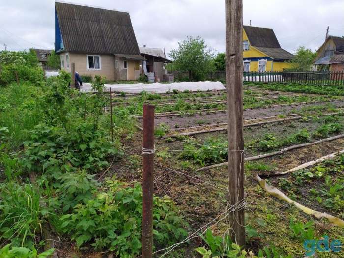 Продам дачу, Рогачев, С/т «Оптик», ст.Старосельский, 4 соток, фотография 4