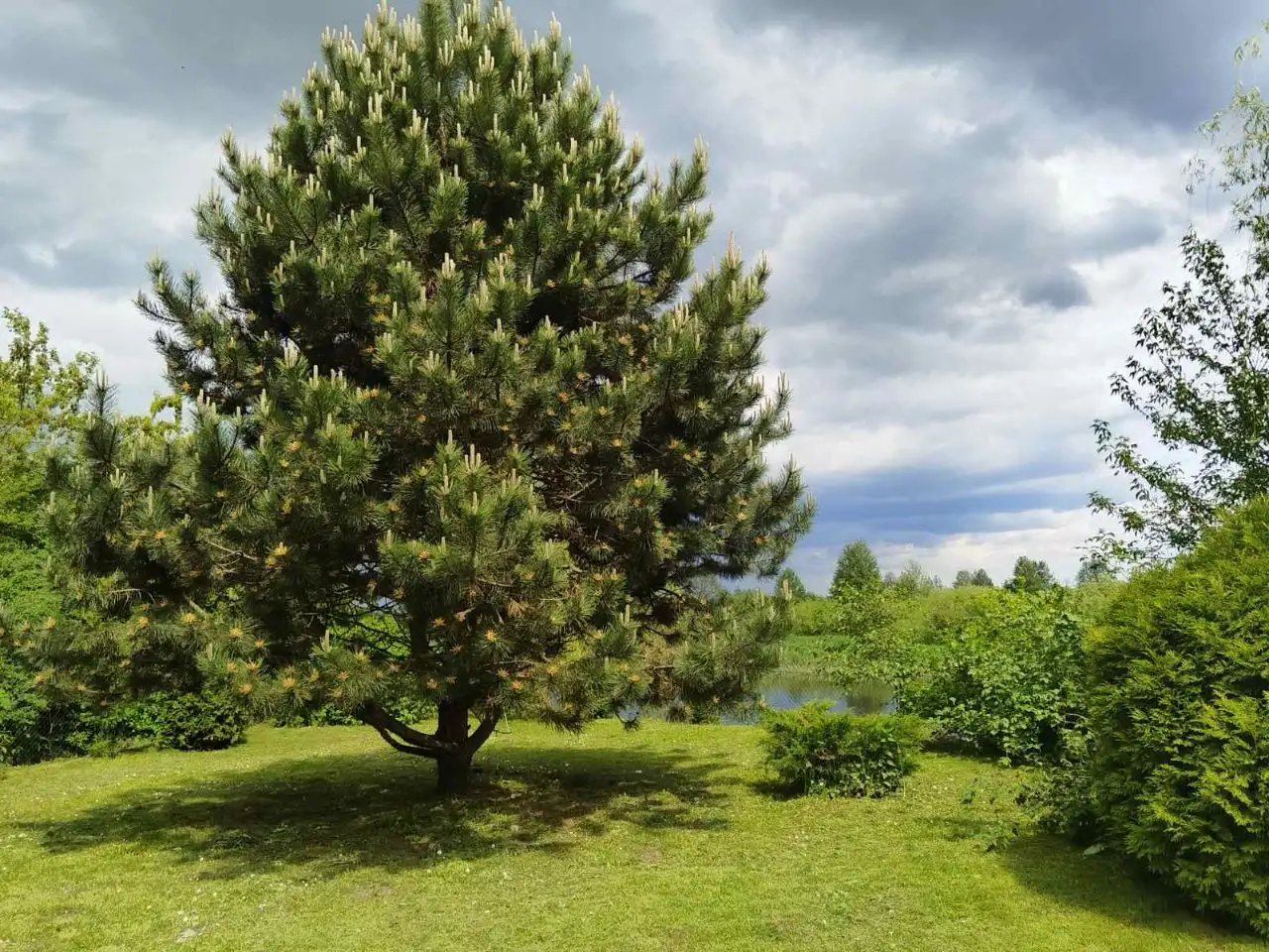 Продам дом, Деревня Новый Свержень, ул. Столбцовская, д. 38, фотография 3