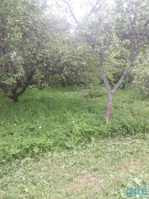 Продаётся дом с большим участком, район деревня Дрыла 2., фотография 5