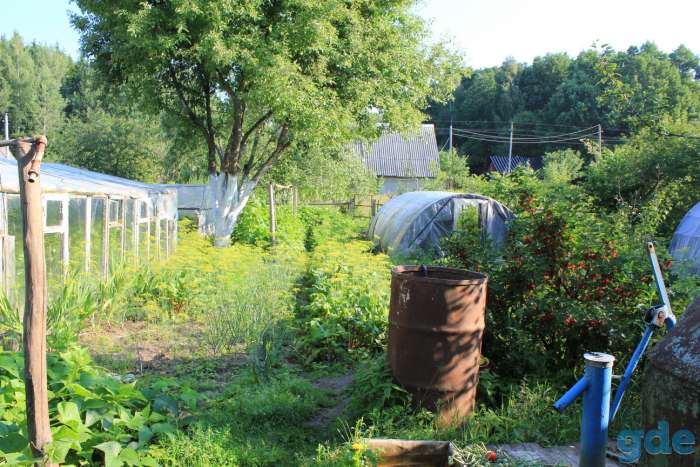 Продам Дачу, Садовое товарищество Родник-2 (д.Берестеново), 15км от Орши, фотография 8