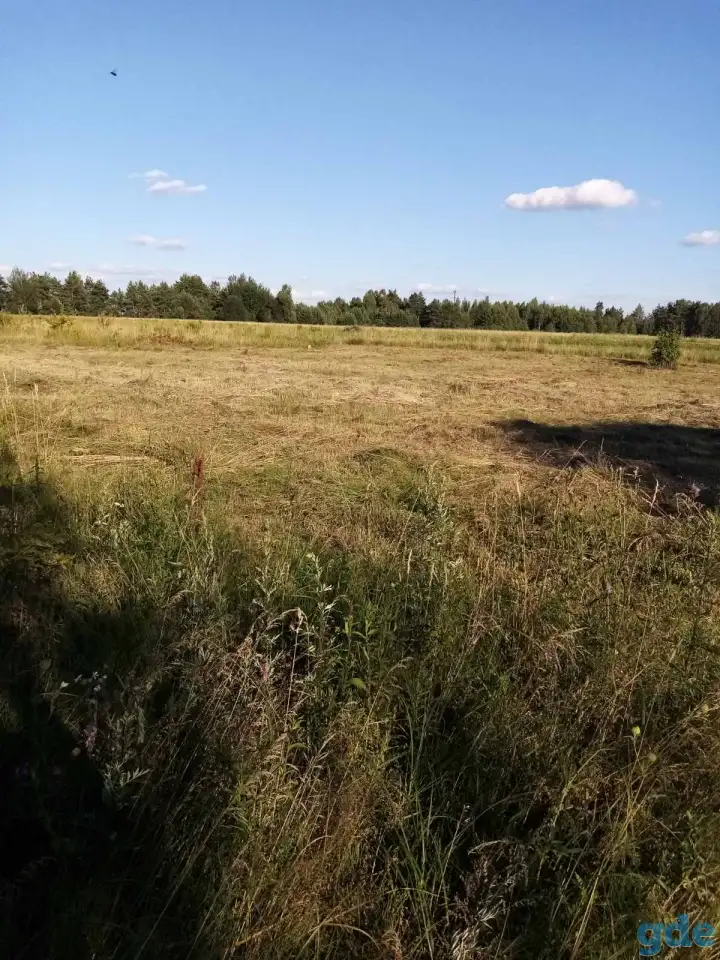продажа участка, Минская область, Березинский район, д. Бычин., фотография 1