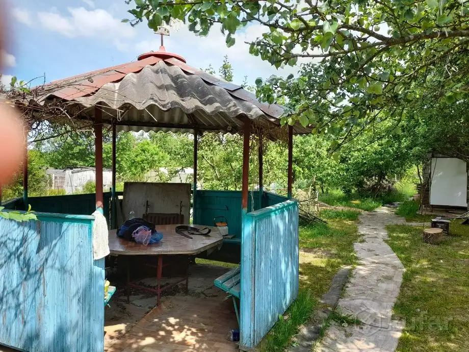 Продам дачный участок с домом, постройками, теплицей 2х4м,есть яблони, вишни, черешни, смородина, поречки., фотография 3