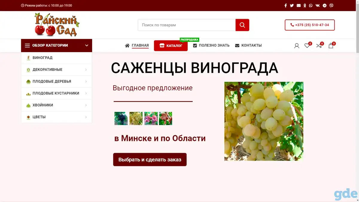 Разработка одностраничных сайтов, фотография 18
