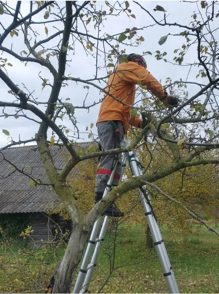 Услуги садовника, фотография 2