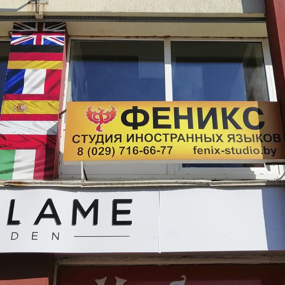 Репетиторство по английскому,немецкому,польскому,французскому,испанскому,итальянскому языкам., фотография 2