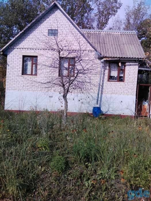 продам, отдам хорошему хозяину, фотография 1