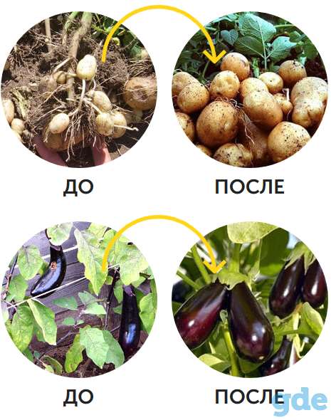 Биоудобрение AgroMax, фотография 3