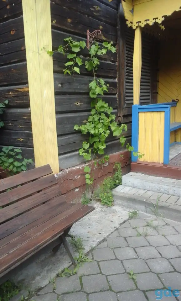сдаю дачу, д. терюха ,,,,лесная 2а, фотография 2
