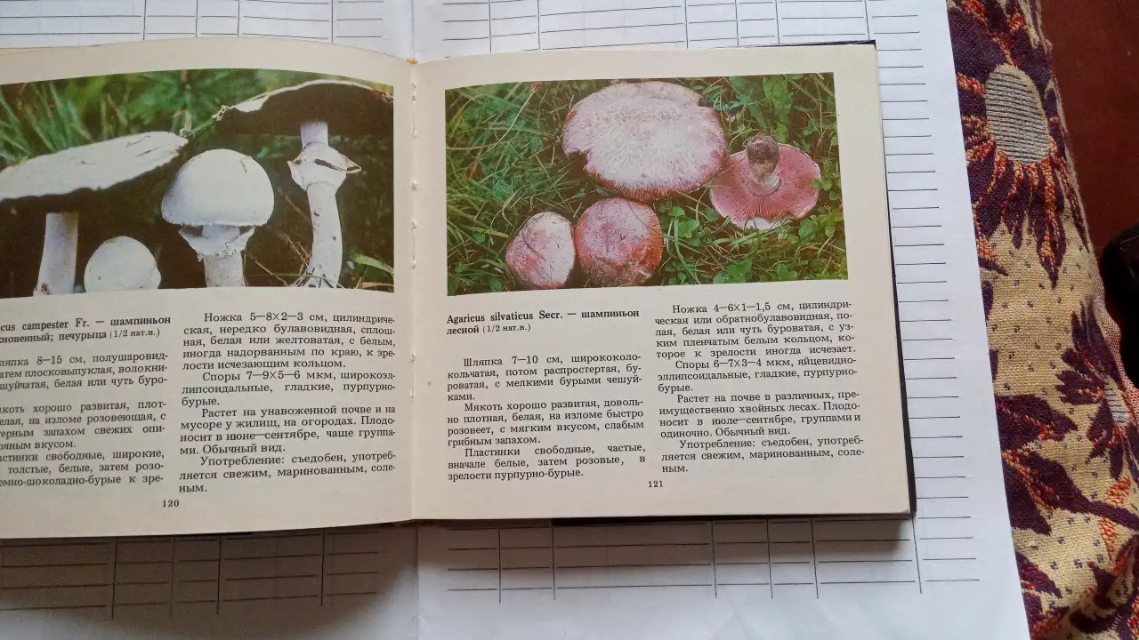 Книга о грибах Макромицеты, фотография 4
