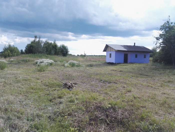 Дом в деревне Стаупы 60 км от Могилева, фотография 4