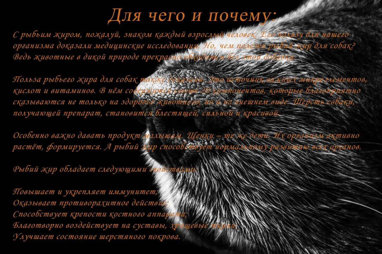 Масло из лосося камчатского SALMON OIL 100мл., фотография 2