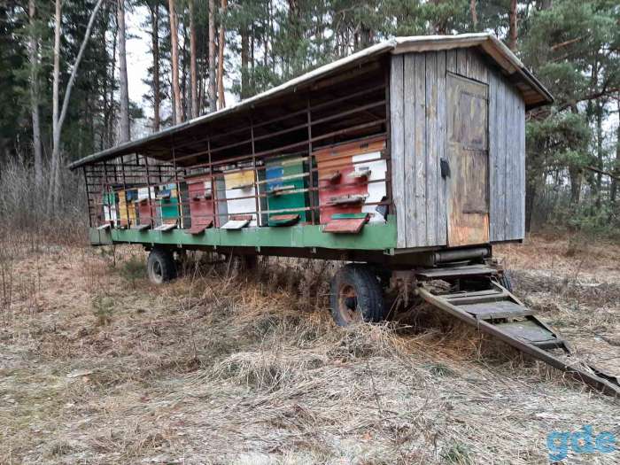 Пасека, фотография 4