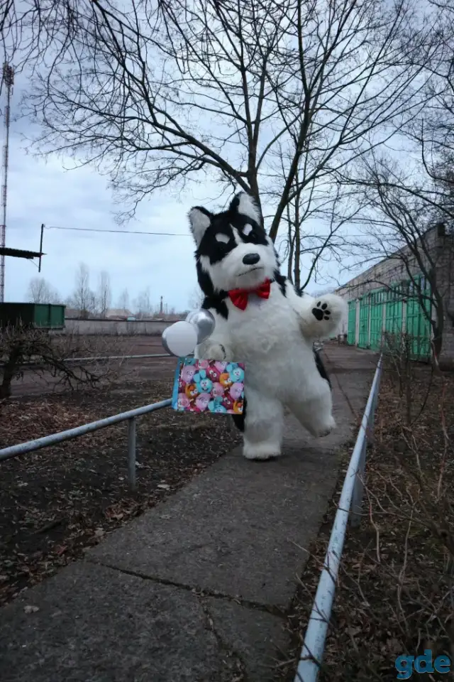 Поздравление в Гомеле и Гомельской области, фотография 1