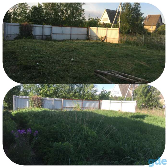 Покос травы, фотография 1
