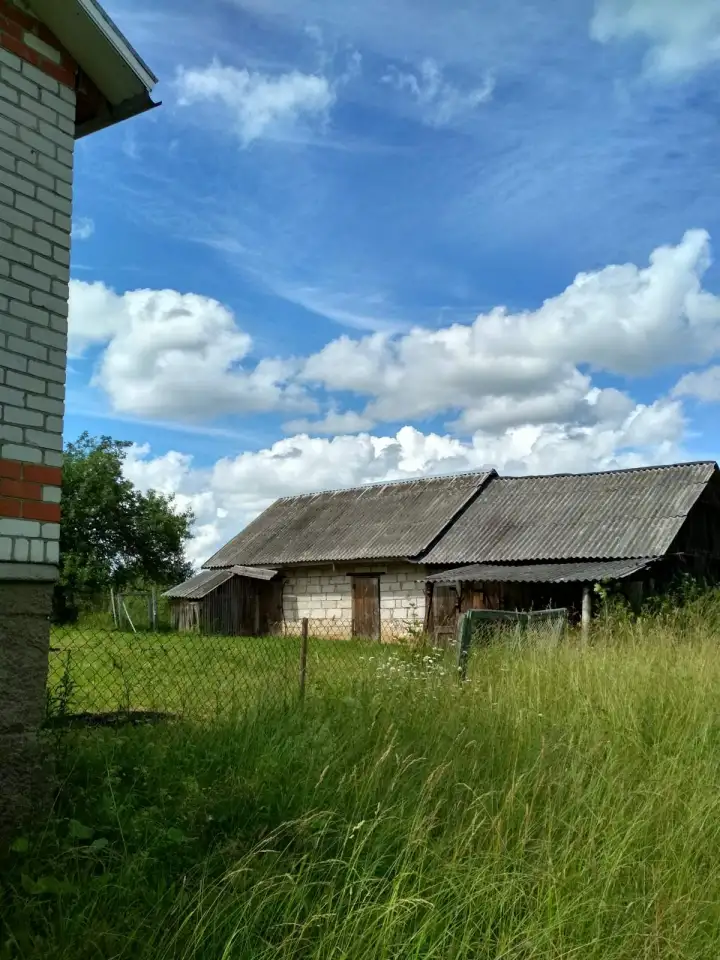 Дом у озера в Новом Селе! Кирпичный дом, 25 соток  баня на берегу. Косули приходят к порогу!, фотография 9