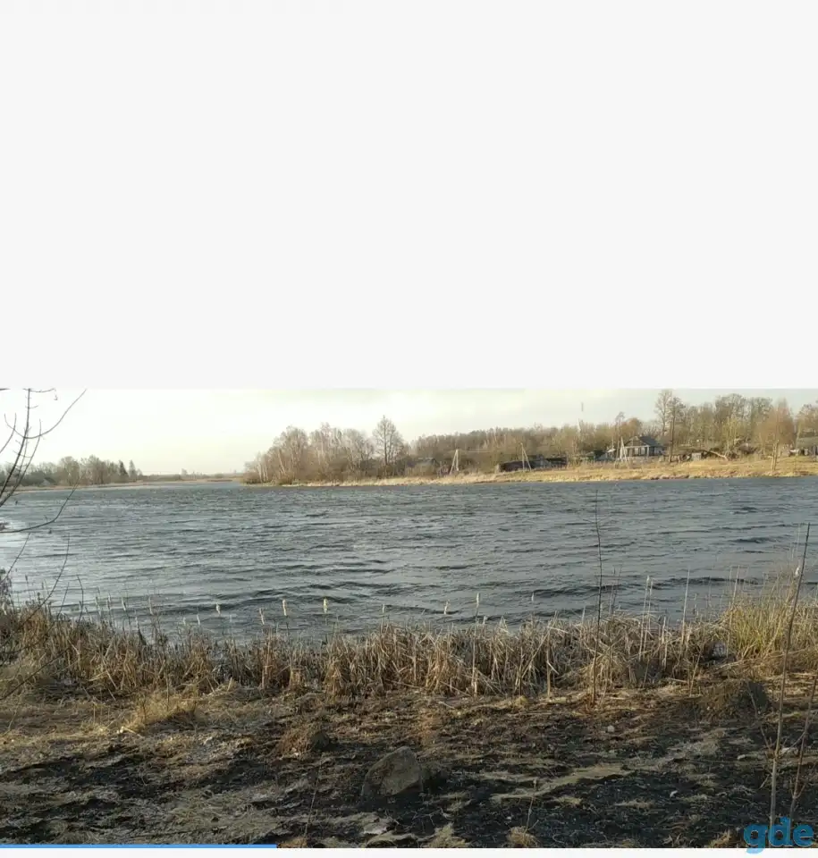 Дом на берегу реки в агрогородке Туча, фотография 3