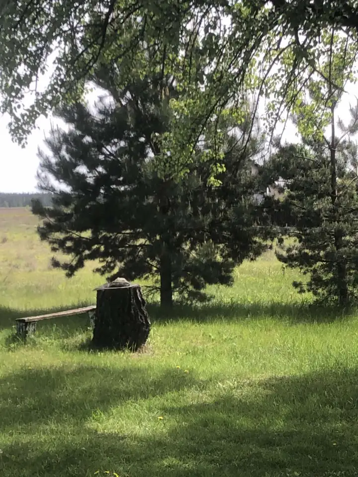 Продам дом в деревне, д. Протасевичи, фотография 4