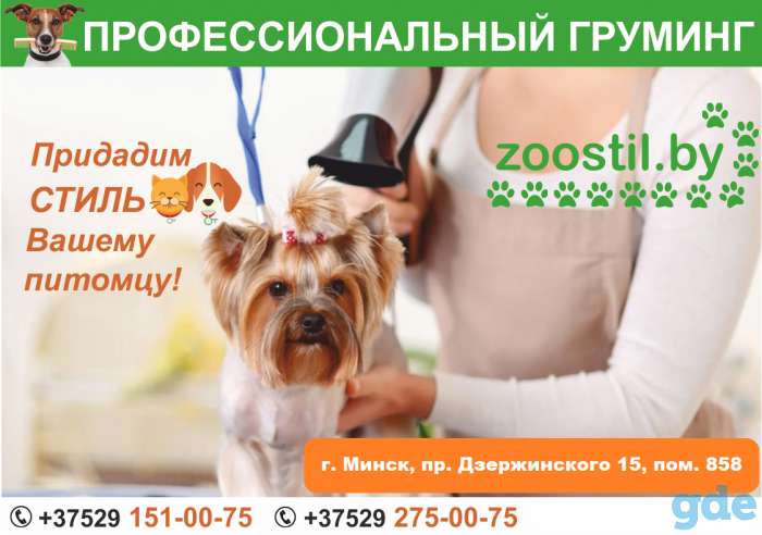 Стрижка собак и котов (профессиональный груминг). Минск., фотография 1