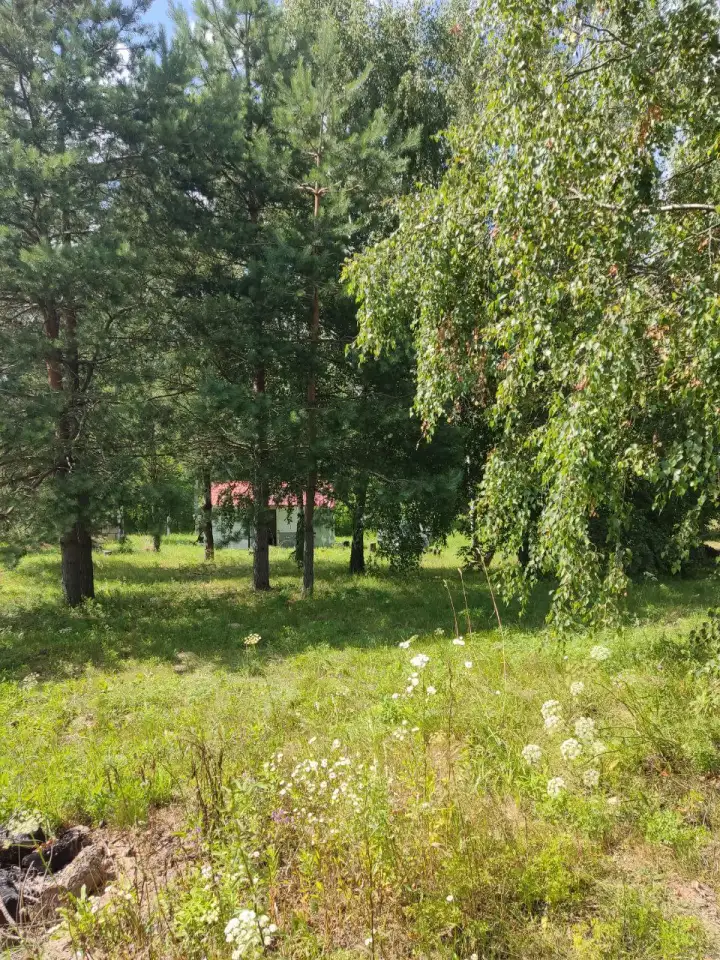 участок СТ АГРОБелОИ-1 25 км от м. Уручье, фотография 2