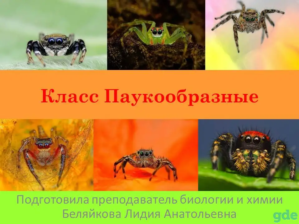 Репетитор по биологии и химии, фотография 1