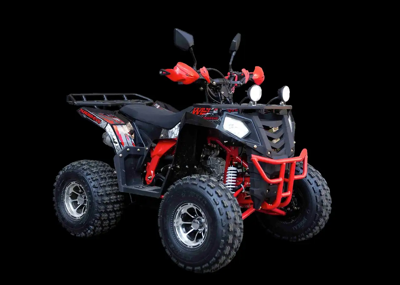 Квадроцикл amoto evo x 125, фотография 1