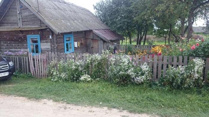 Деревянный домик с участком, область, район, Крупицкий сельский совет,д.Черники, фотография 7