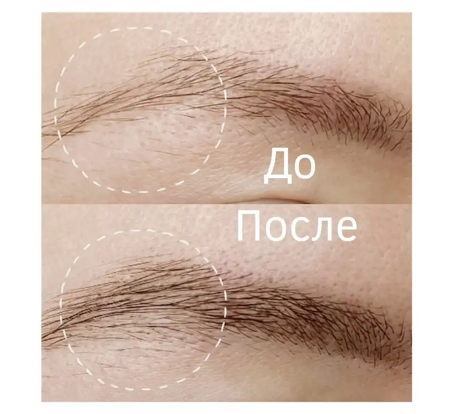 Отрастить брови за 2 месяца, фотография 1