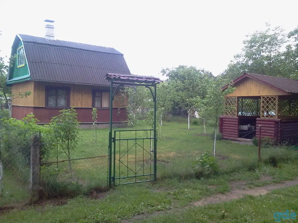 Дача в лесном массиве, фотография 1