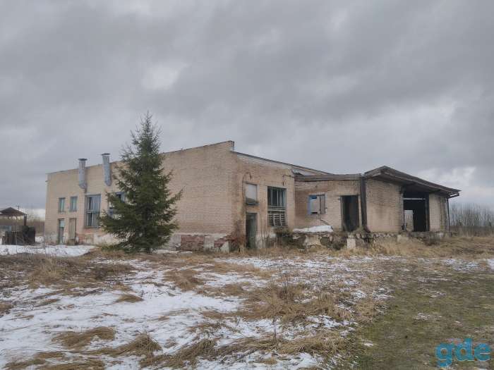 Продажа склада - холодильника, фотография 1