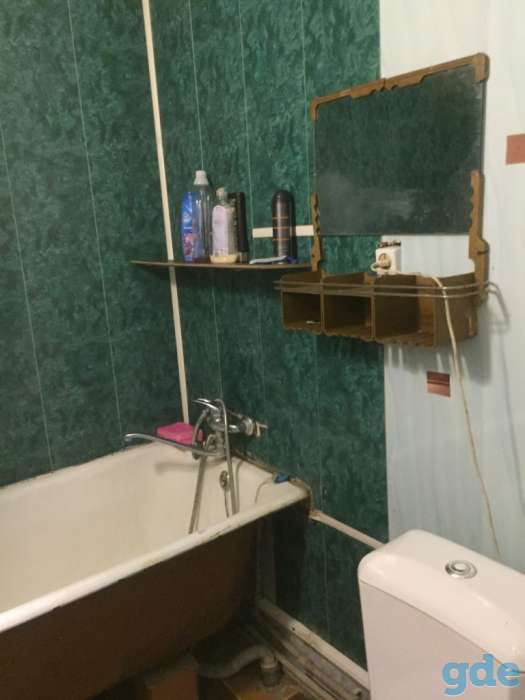 Продам дос с флигелем  на  берегу реки в г. Поставы, фотография 9