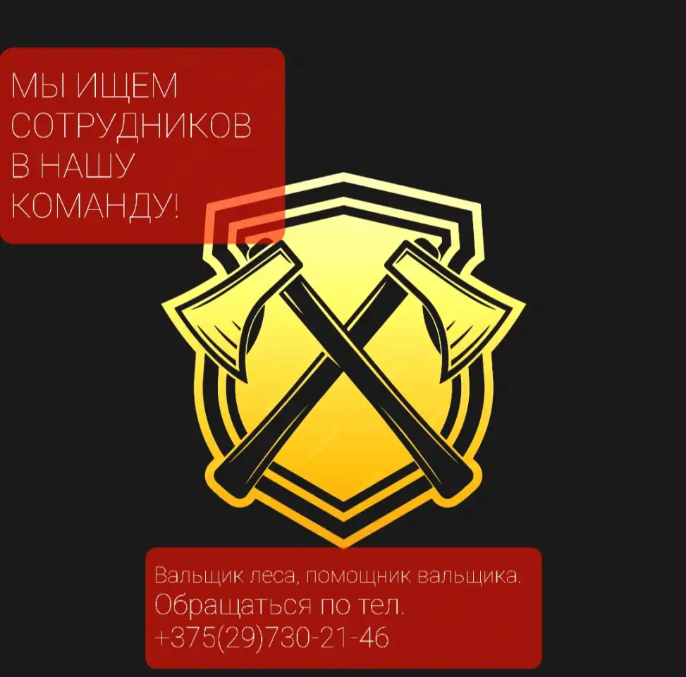 Вальщик леса, лесоруб, бригада., фотография 1