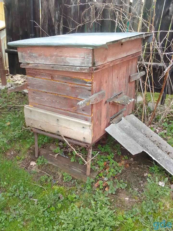 Продам четыре пчелосемьи с ульями, фотография 4