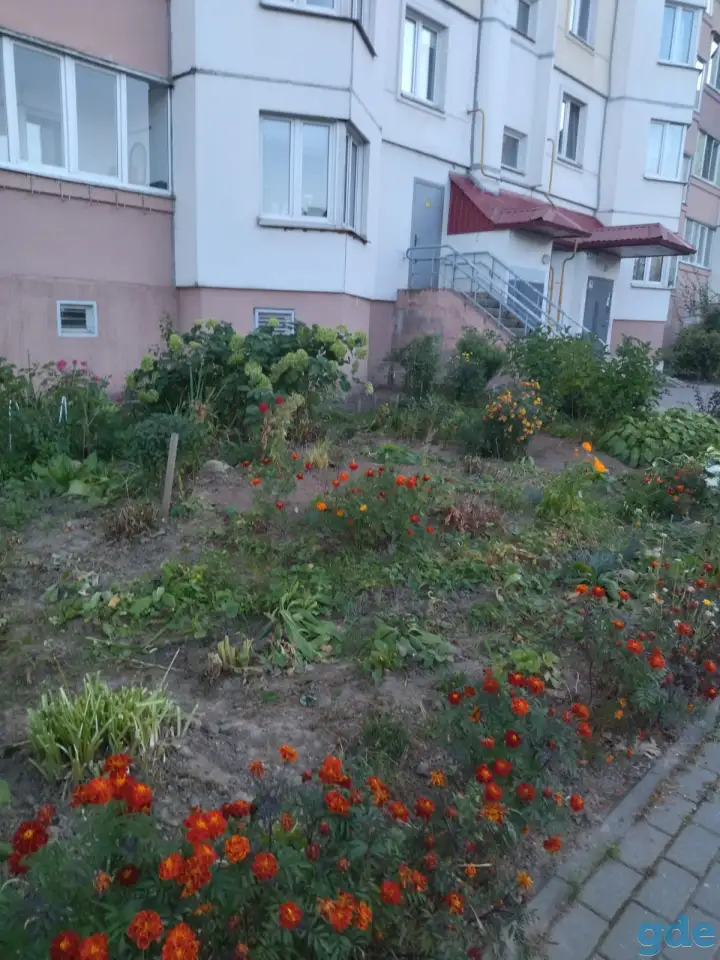 Сдам 1 комнату квартиру, Березогорская 8, фотография 10