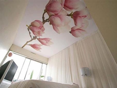 Натяжные потолки в Могилеве 5-88-99-58мтс, фотография 1
