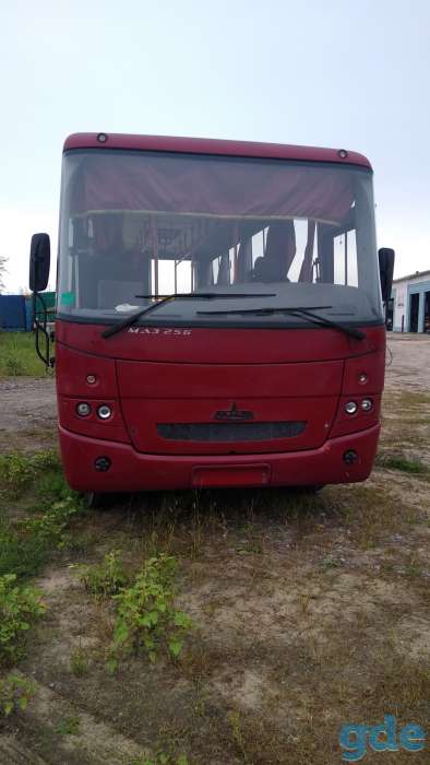 Автобус МАЗ, фотография 6