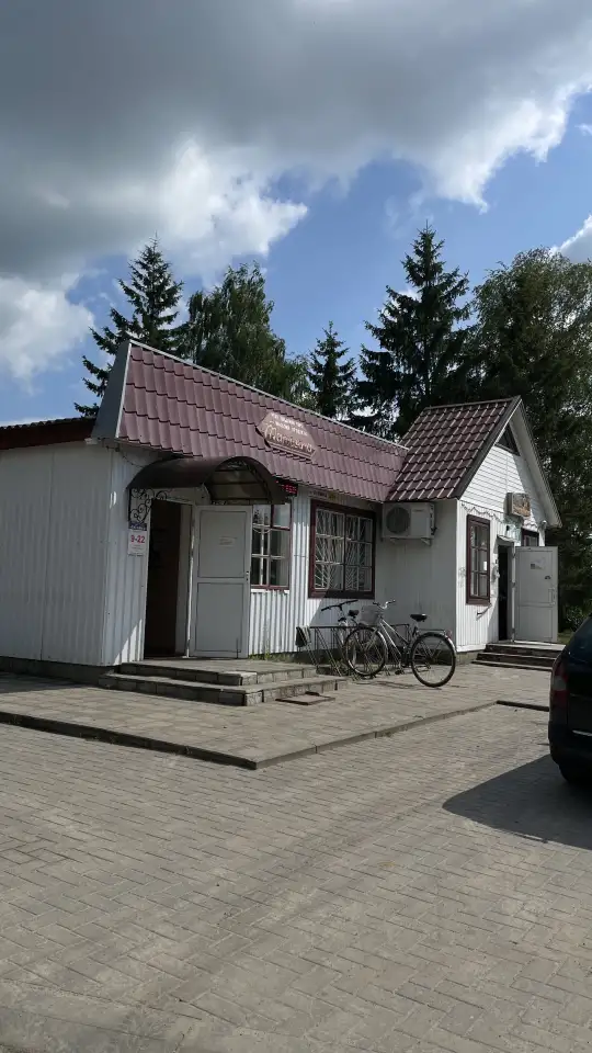 Дом в центре деревни, Брестская обл., Ивановский р-н, Лясковичский с/с, д. Лясковичи, ул. Советская, 7, фотография 12