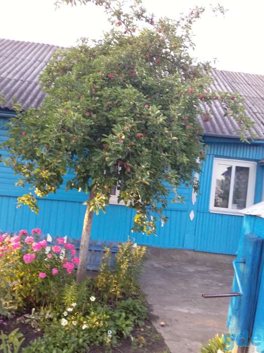 Продажа дома, ул. Заряновская,47, фотография 3