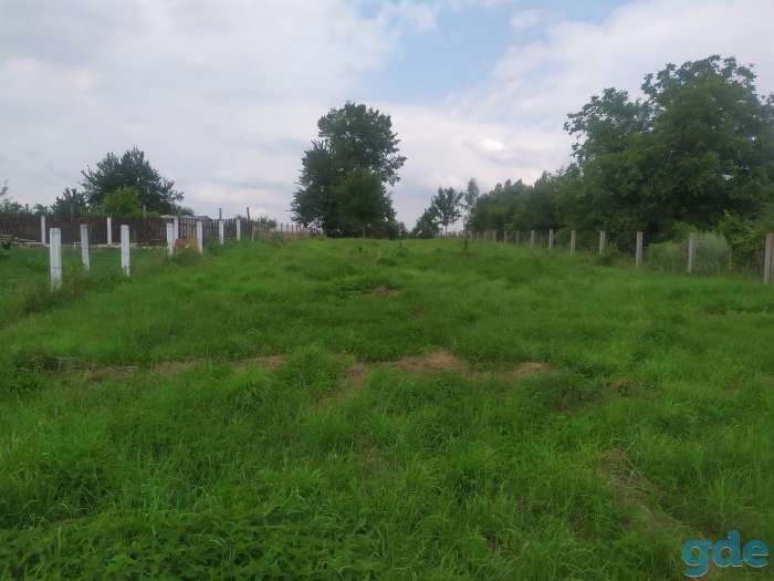 Продам участок, д.Нехолсты, фотография 3