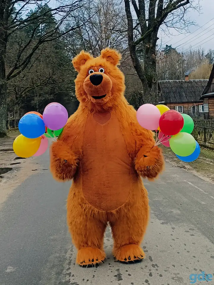 Аэромедведи на Ваш праздник, фотография 2