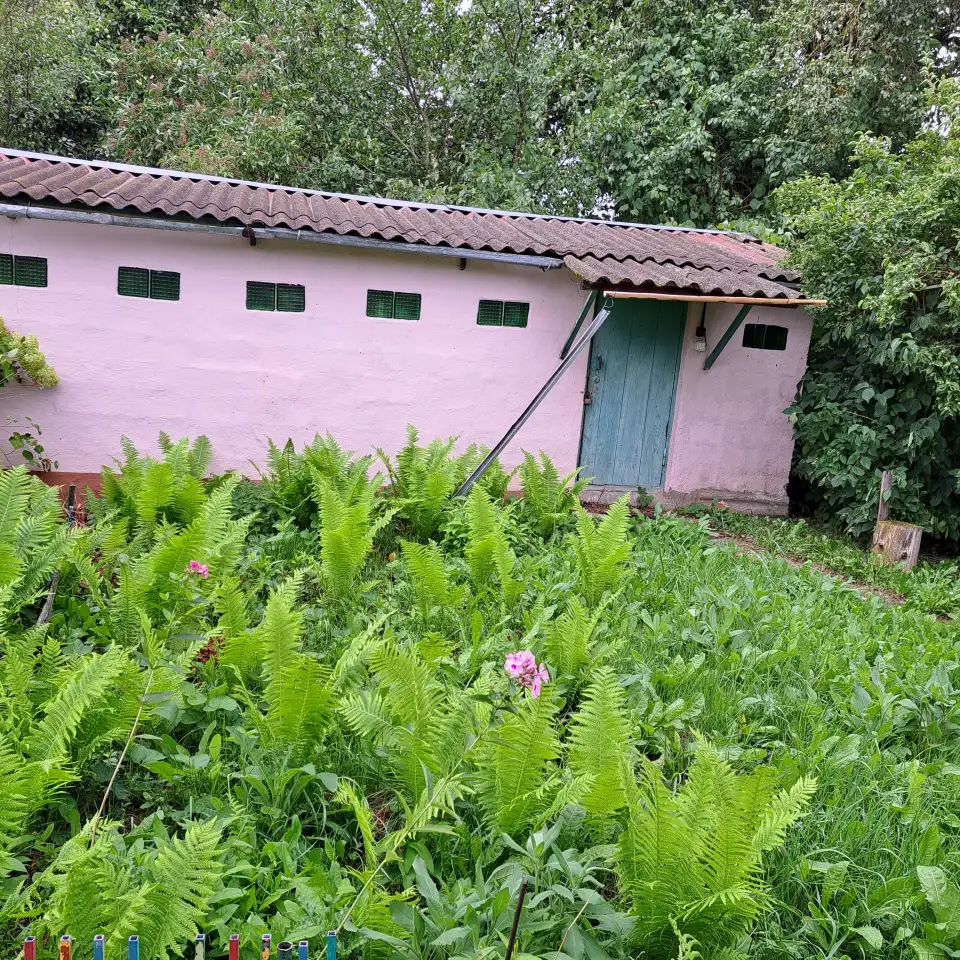 Продается дом в деревне Родковичи, Барановичского р-на, ул. Короткая 1-А, фотография 4