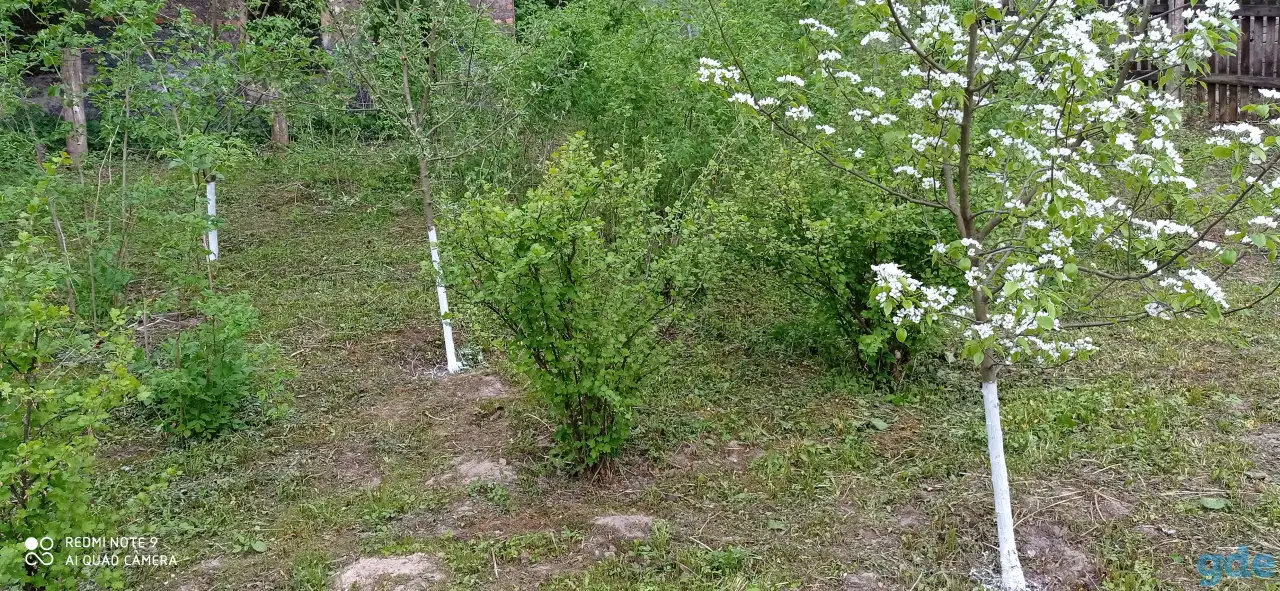 Продам участок с домом, ул.Нагорная, д.65, фотография 5