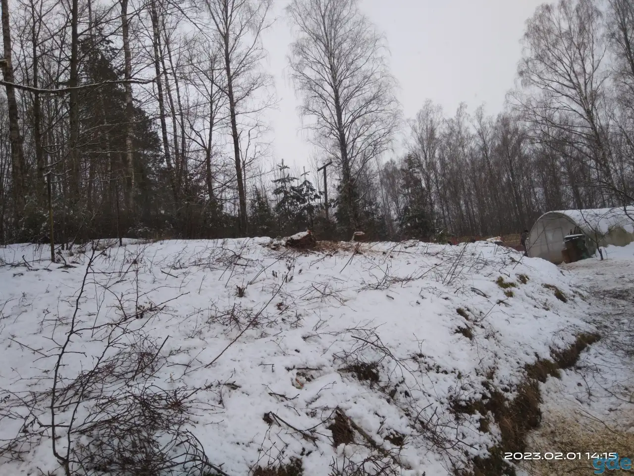 Расчистка участка от растительности, фотография 12