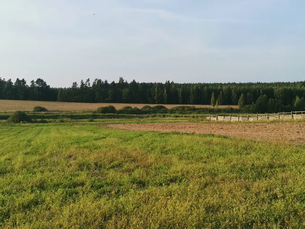 Продажа дома в деревне с хоз. Постройками и большим огородом. Рядом озеро с рыбой и лес с ягодами и грибами., фотография 7