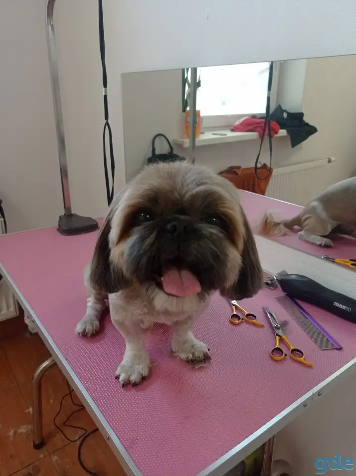 ✂️, фотография 8