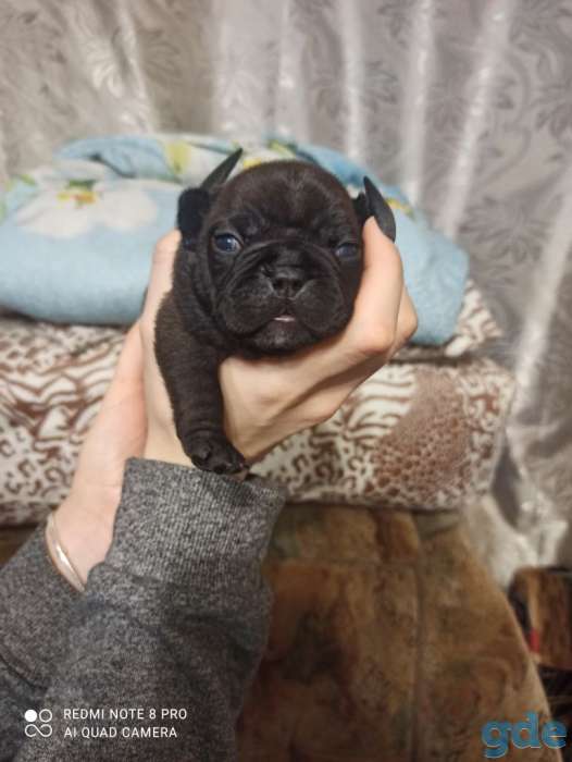 Продажа, фотография 10