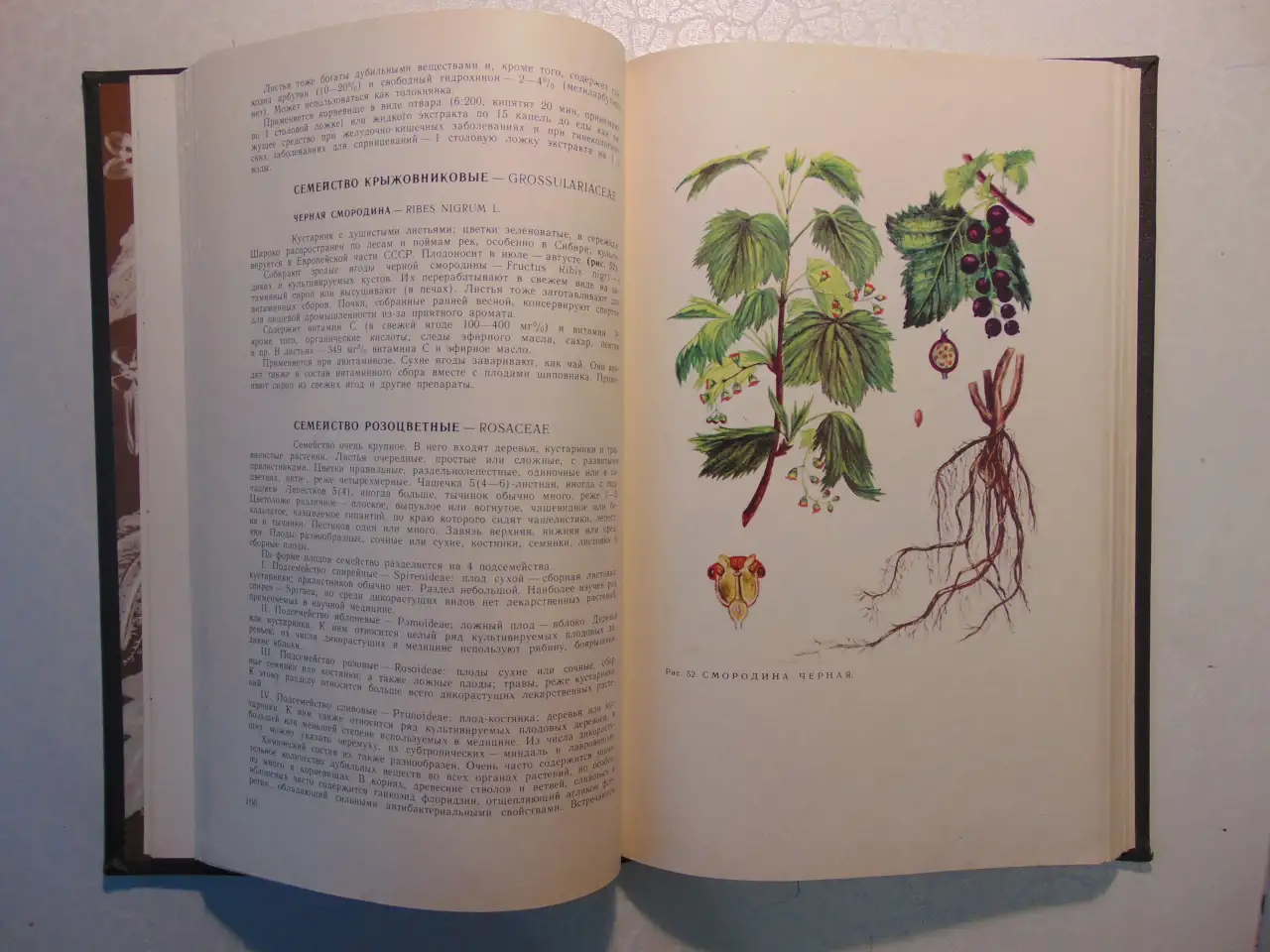 Дикорастущие лекарственные растения СССР..И. Гром, Москва, Медицина, 1976 год, 288 страниц, 153 рисунка., фотография 10