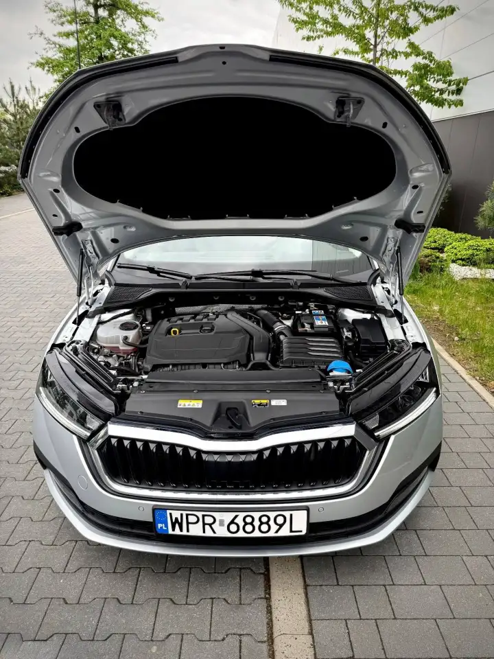 Skoda Octavia (IV) TSI  Импорт под ключ  Авто и Европы за 14 дней!, фотография 19