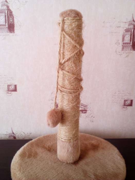 Котеточка, фотография 1